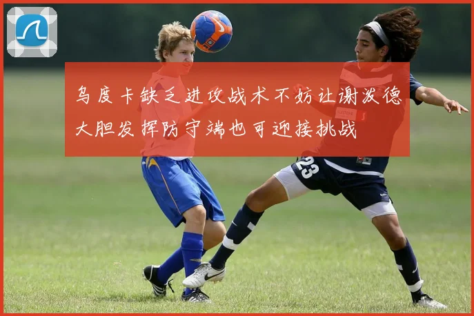 乌度卡缺乏进攻战术不妨让谢泼德大胆发挥防守端也可迎接挑战