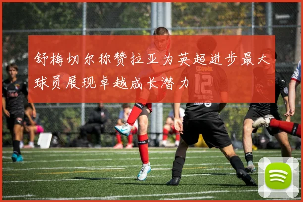 舒梅切尔称赞拉亚为英超进步最大球员展现卓越成长潜力