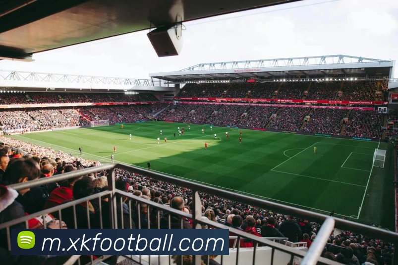 多媒体互动体验